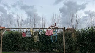 De was heeft goed kunnen drogen vandaag