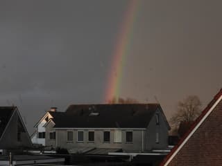 Regenboog