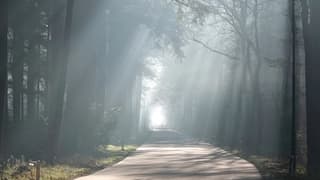 Zonneharpen vanmorgen vroeg 