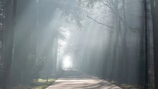 Zonneharpen vanmorgen vroeg