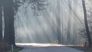Zonneharpen vanmorgen vroeg