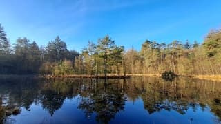 Reflectie op het water 