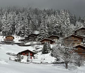 Flink wat sneeuw gevallen