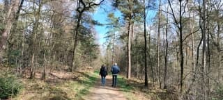 Fris maar de zon schijnt 