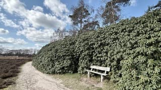 Lekker weer om in het zonnetje te zitten