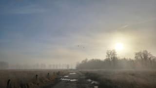 Winters plaatje in de lente