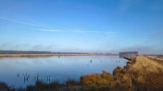 Vanuit de vogelkijkhut blauw en goud