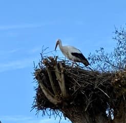 Kraamkamer inrichten 