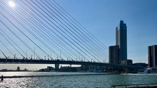 Zonovergoten, blauwe lucht, aan de horizon een wolkenband 