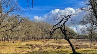 Iedereen geniet van het zonnetje.