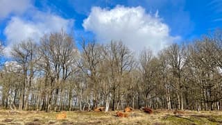 Iedereen geniet van het zonnetje.