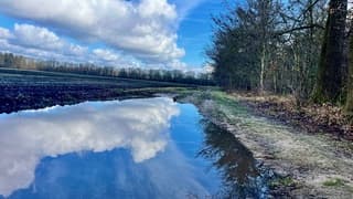 Op sommige plekken erg nat.