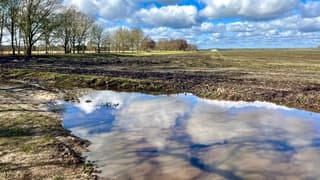 Op sommige plekken erg nat.