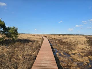 Fochteloërveen vlonderpad