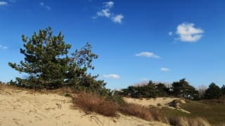 Bijna wolkeloze hemel boven de duinen