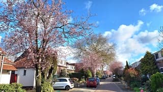 Fris, maar lekker weer