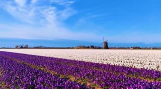 Wat een mooie zonnige start van de dag.