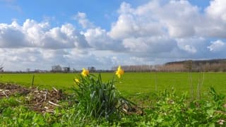 Wolken en zon in de polder
