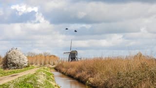 Wolken en wind met vogels