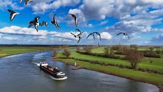 Zon bewolking en groep scholeksters boven de IJssel 