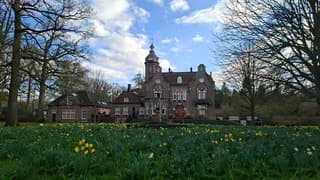 Veld Narcissen in bloei voor deze villa bij blauwe lucht