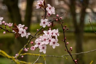 Prachte voorjaarskleuren tijdens de wandeling