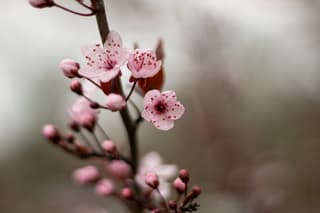 Genieten van de mooie voorjaarskleuren