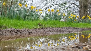 Kleur 2x op grijze dag