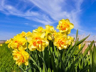 na de motregen vanochtend begon het  s middags...