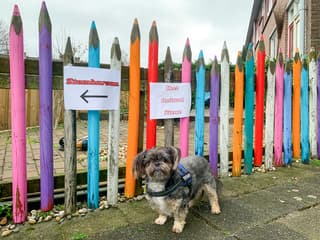 Stempotloden klaar ? Stemmen maar !