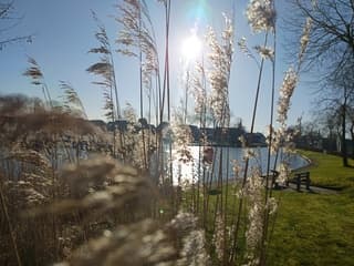 Ochtendzon in Oldemarkt 