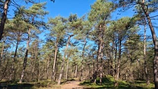 ?? Lekker het bos in - Norg ??