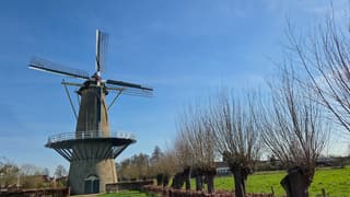 Molende5gebroeders in een strakblauwe lucht