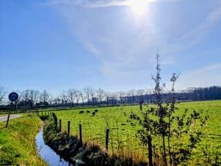 Het zonnetje staat hoog aan de hemel