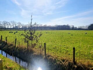 Het zonnetje is in de sloot gevallen