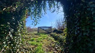 Doorkijkje naar een mooie lentedag