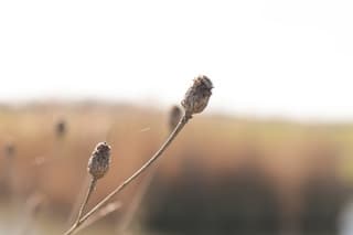 Eerste zonnestraaltjes