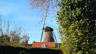 Heerlijk zonnig vanmiddag