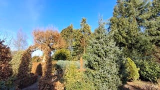 Alles wordt groen zonnig weer