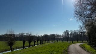 Warmond in de zon