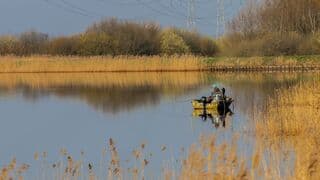 Westerbroekstermadepolder, Westerbroek