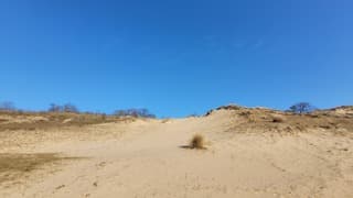 Super weer, knal lauwe lucht, Meijendel. 