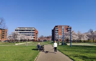 Genieten van het mooie weer.