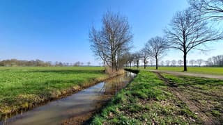 Een prachtige lentedag 