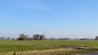 Molen 