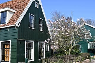 lente: magnolia in krommeniedijk