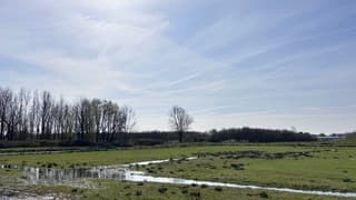 Dunne sluierbewolking