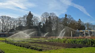 Sproeien op 1e lentedag