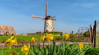 Zonnig, licht gesluierde blauwe lucht