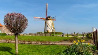 Zonnig, licht gesluierde blauwe lucht